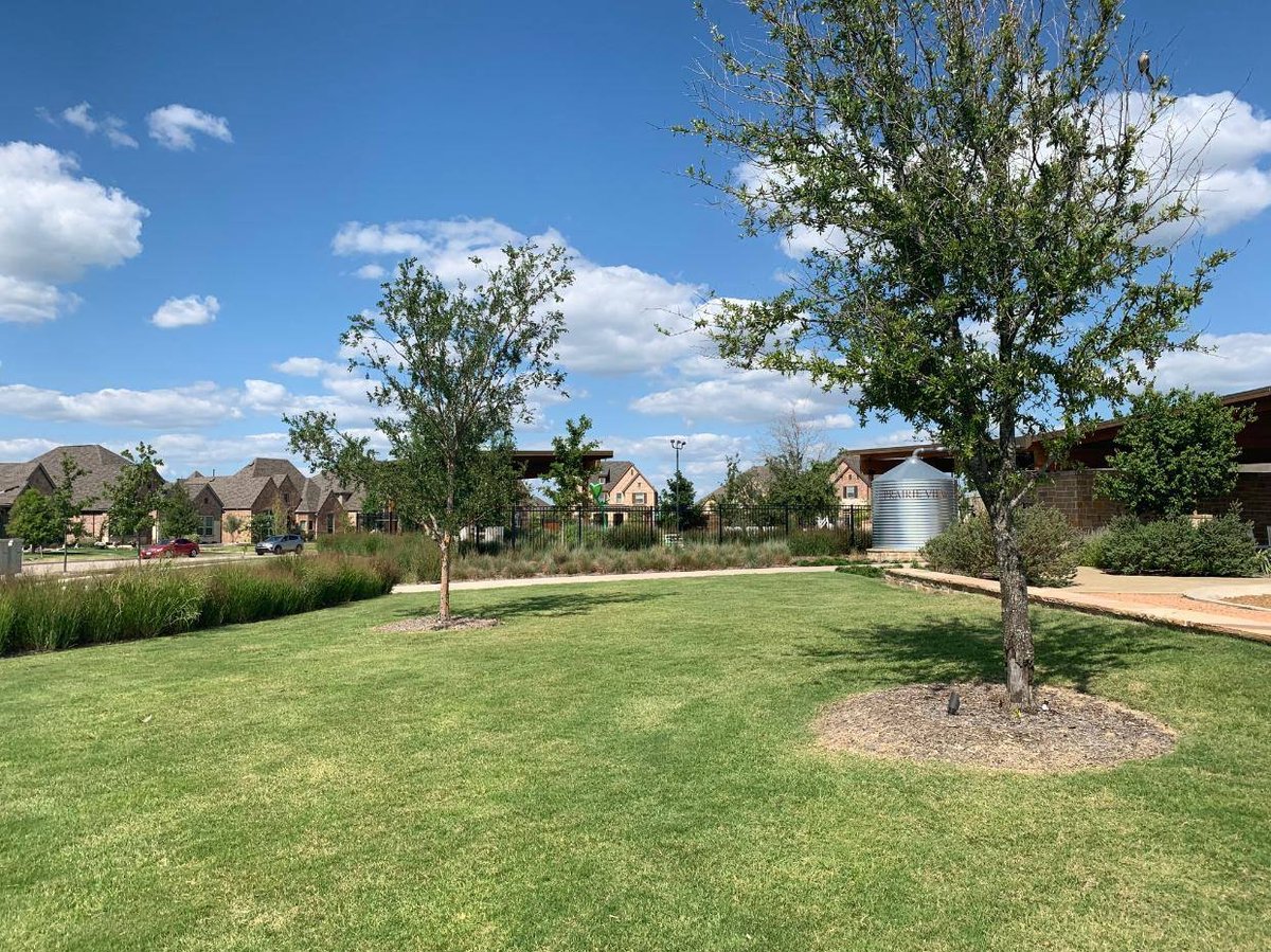 Center Park